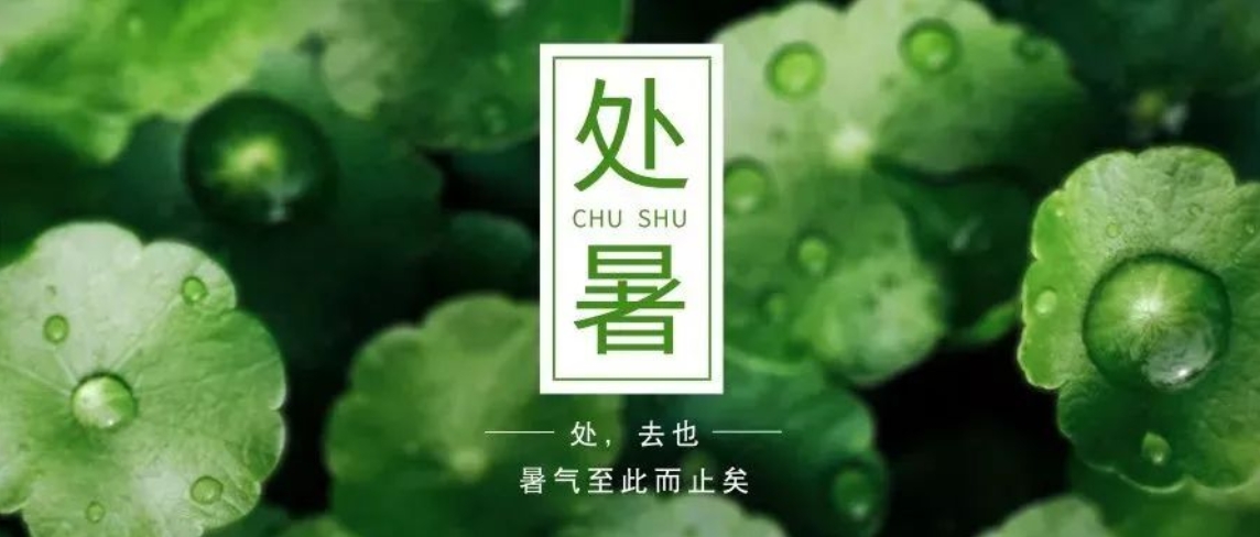 微信截圖_20240821092648.jpg