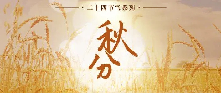 微信截圖_20240923103920.jpg