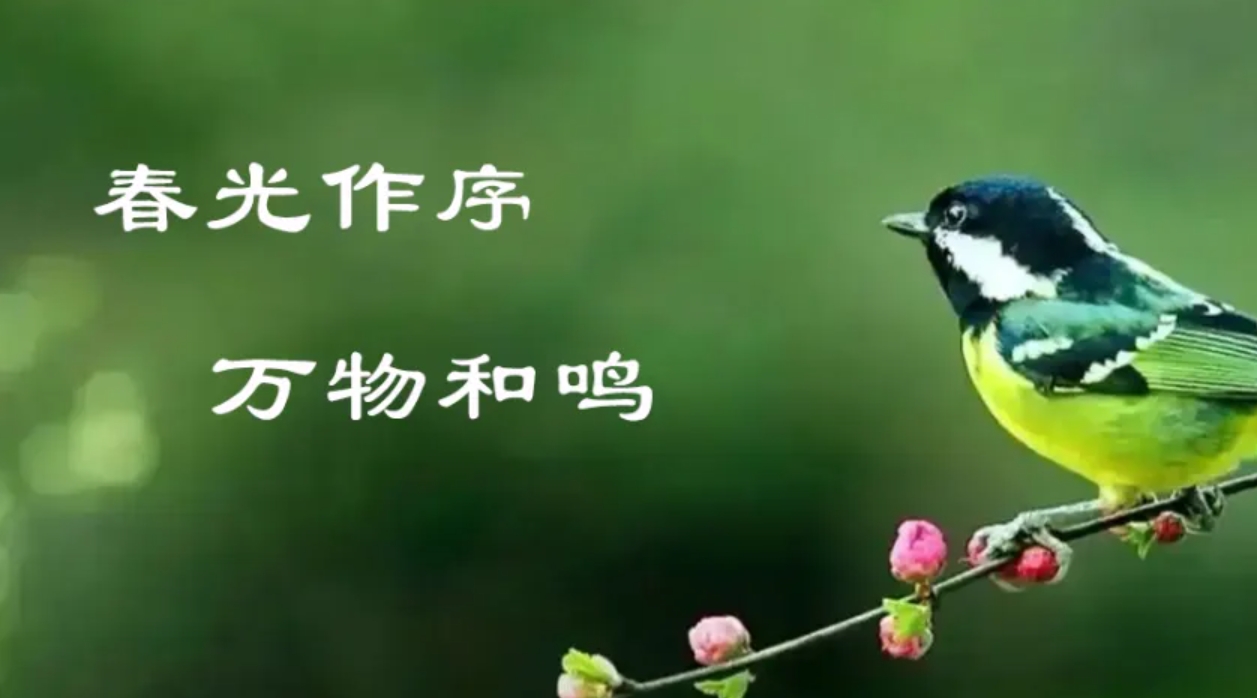 傳奇.jpg