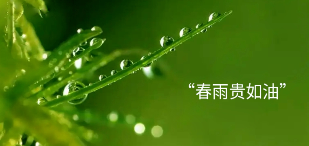 微信截圖_20250218091958.jpg